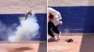 Crueldad animal: presuntos estudiantes de Criminología...