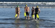 Open water swimmers along the Maine coast are 'shark aware' but have little fear