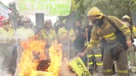 Vídeo: bomberos y agentes forestales prenden fuego en las Cortes de Castilla y León en protesta por la gestión de los incendios