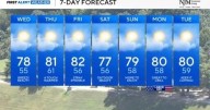 High pollen in Maryland Wednesday amid seasonably cool weather