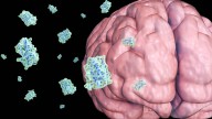 Research: Leptin Could Address Diabetic Ketoacidosis Without Insulin