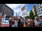 'Who's paying for these protests?': Dems accused of 'phony' opposition