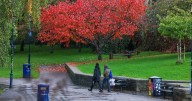 Met Office issue verdict as UK enters 'meteorological autumn' with thunderstorm risk