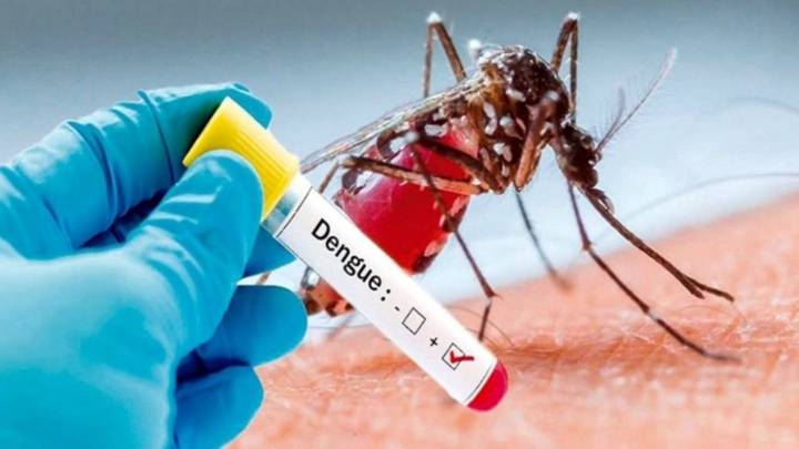 Taiwán detecta su primer brote local de dengue de 2025