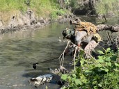 Retiran más de 300 toneladas de basura en Río San Pedro