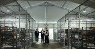 Florida Won't Say If COVID Is Spreading at Alligator Alcatraz