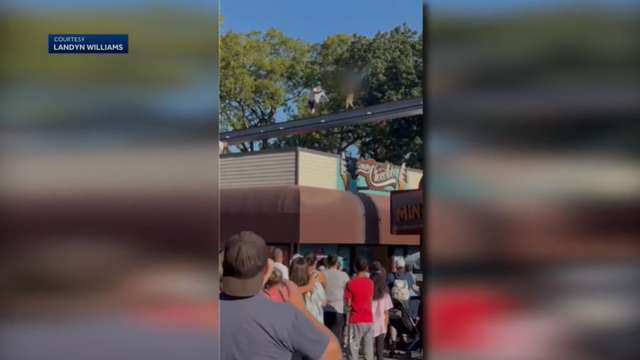 Video shows boy walking on monorail tracks at Hersheypark