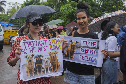 Corte Suprema de India ordena liberar a perros callejeros en Nueva Delhi tras revisar un fallo