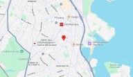 Police kill dog that mauled someone in Dorchester