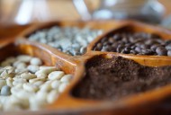 Perú: exportaciones de café superaron los US$ 300 millones en primer semestre