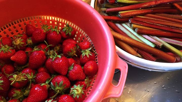 Prairie Fare: Preserving food safely — Blending tradition with science