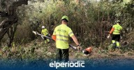 Benidorm actúa sobre una parcela forestal en el Murtal para proteger la zona ante posibles incendios