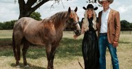 Montana landowners purchase high-end cutting horse