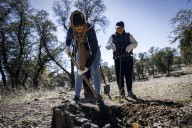 La Gallera, fosa clandestina ligada a “El Pozolero”, podría ser exhumada en 2026