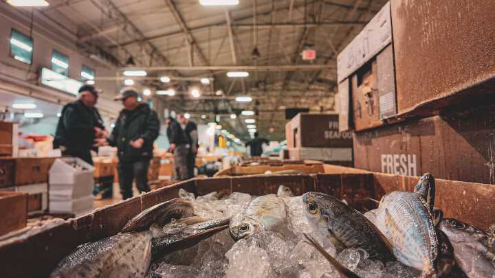 Trump’s tariffs could gut NYC’s seafood supply