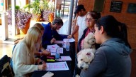 Patitas coloradas: Una campaña que promueve el control poblacional de animales de compañía