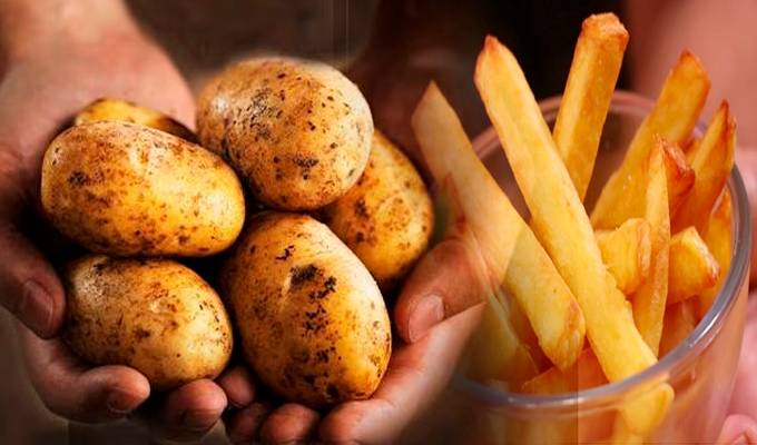 El grave riesgo detrás del consumo de papitas fritas, según un estudio de Harvard