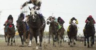 Ontario Lottery and Gaming Corporation players can now bet on live horse races