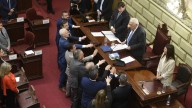 Reforma de la Constitución: adultos mayores proponen equilibrio etario para cargos legislativos