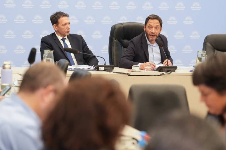 $Libra: la oposición en Diputados impuso a Ferraro y destrabó la comisión investigadora