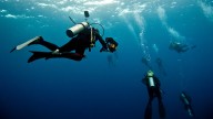 La paradisíaca bahía para vivir una experiencia única a pocos minutos de Santa Marta
