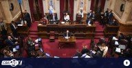 El Senado tratará este jueves la emergencia pediátrica y el financiamiento universitario