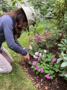 Gardening’s hidden benefits: How digging in the dirt could bolster mental wellbeing