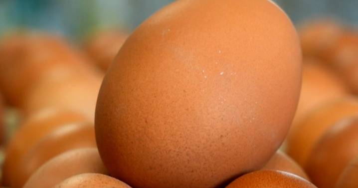 Egg recall in effect amid salmonella outbreak in 14 states; nearly 100 reported sick