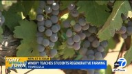 Temecula students learn cutting edge winemaking methods