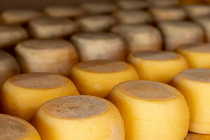 Alerta quesos: detectan un brote de una infección alimentaria