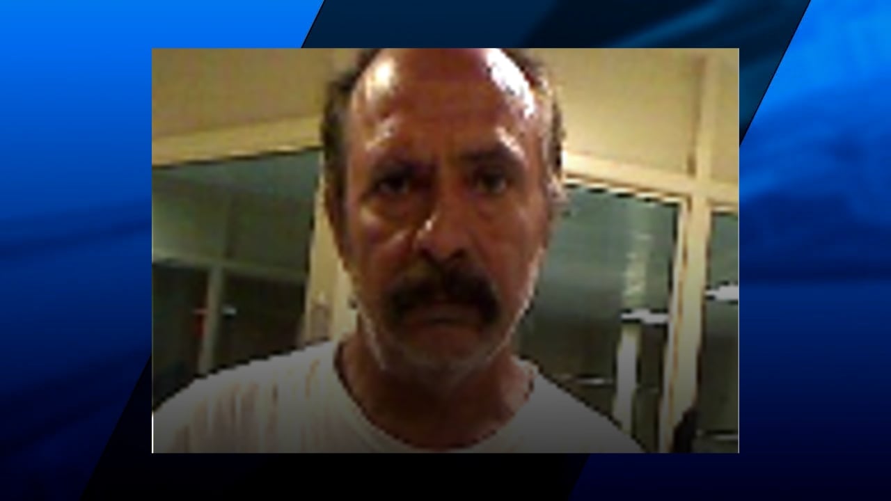 ICE agents arrest alleged member of Romanian theft group