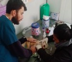 Vacunación y desparasitación de mascotas en el barrio Obrero