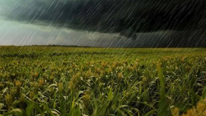 Cómo impactará la tormenta de Santa Rosa al sector agropecuario