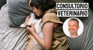 ¿Es bueno dormir con tu mascota en la misma cama? Esto dice Pancho Cavero