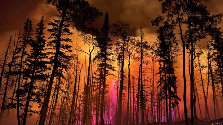 Rural counties in Utah demand better forest management to ward off wildfires
