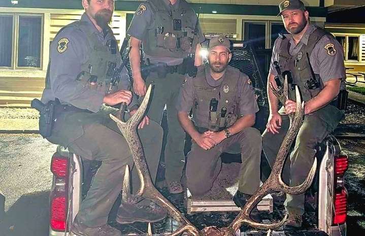 Cd’A man jailed for unlawfully killing trophy bull elk