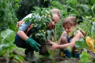 La Comisión Vecinal Belgrano organiza un curso de jardinería