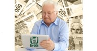 Además de la Renta Vitalicia, ¿qué otra pensión ofrece el IMSS?