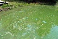 Toxic algae could impact Labor Day at Kansas lakes