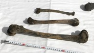 Bones found at Japanese site where Korean forced laborers died in WWII are human remains, police say