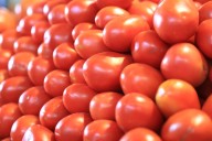 Precios mínimos al tomate protegerán 400,000 empleos directos: productores