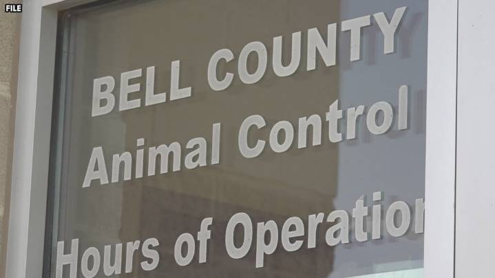 Bell County commissioners spar over animal services staffing and safety concerns