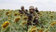 Sicarios latinoamericanos hacen pasantías en el Ejército ucraniano
