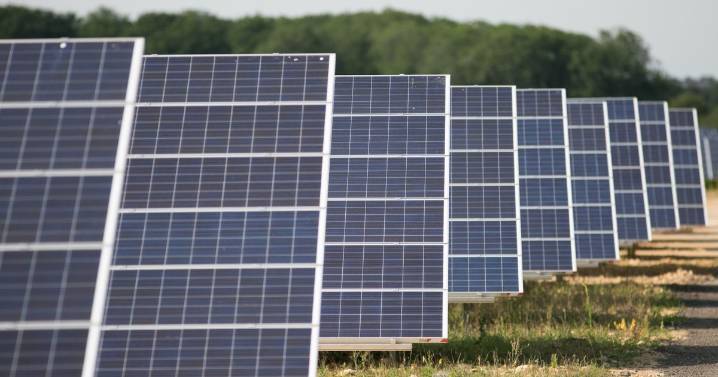 Appeal launched to try and get solar farm built after council fails to make timely decision