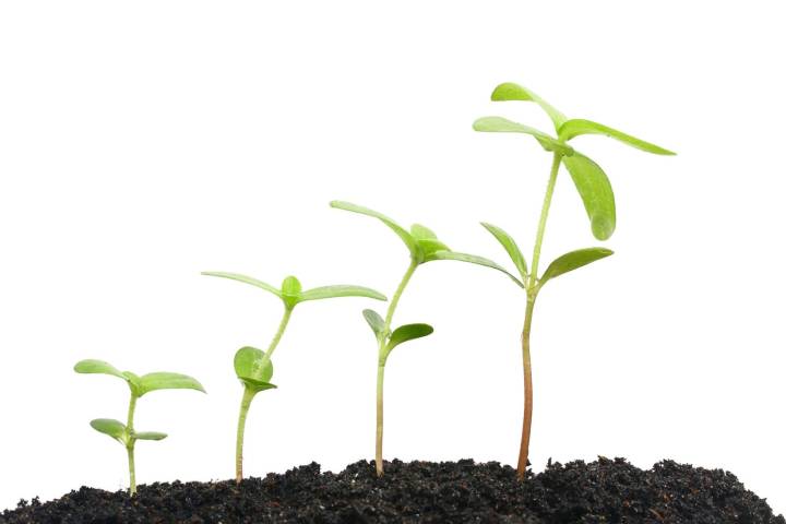 Travere Therapeutics: Compelling FILSPARI Growth Is Hard To Ignore (NASDAQ:TVTX)
