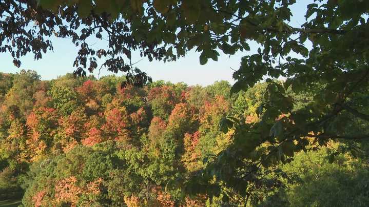 Dry August could dim Northeast Ohio’s fall colors