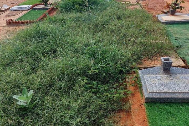 Denuncian falta de mantenimiento en cementerio Jardines del Orinoco