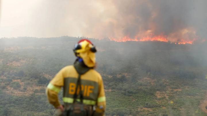 Directo | Castilla y León mantiene seis incendios de gravedad máxima pese a la evolución positiva