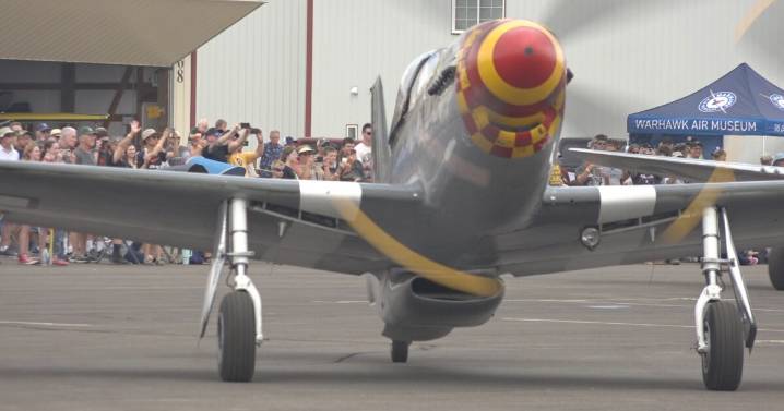 The Warbird Roundup takes flight honoring military history and aviation
