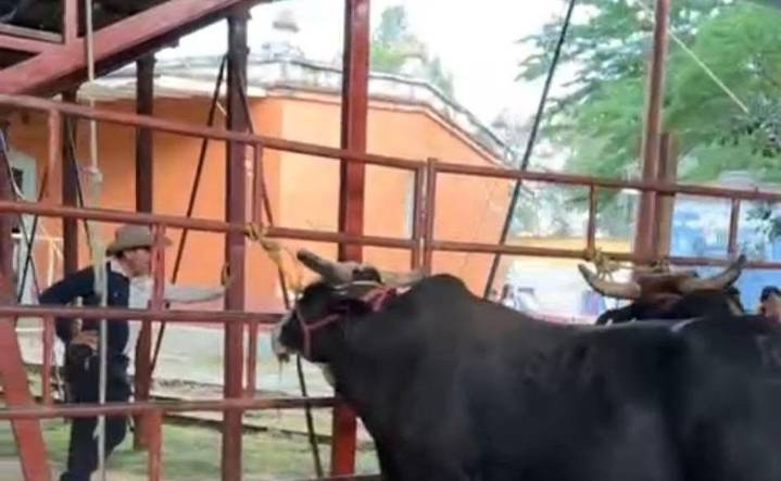 Antigua estación de tren de Ocotlán de Morelos, #Oaxaca, restaurada por Rodolfo Morales, usada por edil como jaripeo